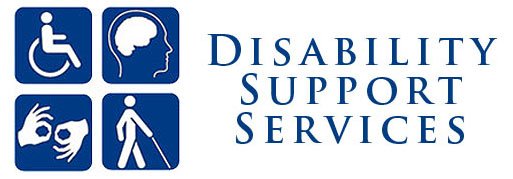 dss-logo-big